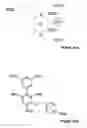 Fig. 23 - Luminescence assay method
