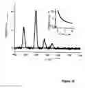 Fig. 25 - Luminescence assay method