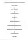 Fig. 06 - Antisense transcriptomes of cells