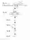 Fig. 03 - Detection of nucleic acids through amplification of surrogate nucleic acids