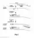 Fig. 02 - METHODS FOR QUANTITATING SMALL RNA MOLECULES