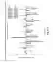 Fig. 16 - Gene Expression Profiling for Predicting the Survivability of Prostate Cancer Subjects