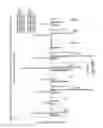 Fig. 27 - Gene Expression Profiling for Predicting the Survivability of Prostate Cancer Subjects