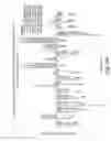 Fig. 32 - Gene Expression Profiling for Predicting the Survivability of Prostate Cancer Subjects