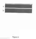 Fig. 05 - Method for Producing Highly Sensitive Endonucleases, Novel Preparations of Endonucleases and Uses Thereof