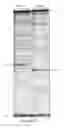 Fig. 09 - Method for Producing Highly Sensitive Endonucleases, Novel Preparations of Endonucleases and Uses Thereof