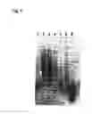 Fig. 06 - Method for detecting and quantifying endogenous wheat DNA sequence
