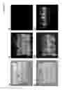Fig. 09 - DEVICE AND NON-TOXIC COMPOSITIONS AND METHODS FOR PERMEABILIZATION OF DROSOPHILA EMBRYOS