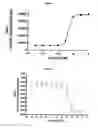 Fig. 04 - Method for detecting membrane protein internalization