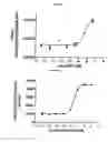 Fig. 05 - Method for detecting membrane protein internalization