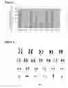 Fig. 06 - METHODS AND COMPOSITIONS FOR REPROGRAMMING CELLS