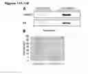 Fig. 08 - METHODS AND COMPOSITIONS FOR REPROGRAMMING CELLS