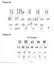 Fig. 15 - METHODS AND COMPOSITIONS FOR REPROGRAMMING CELLS