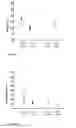 Fig. 07 - Method for identifying an antagonist of guanine nucleotide releasing factor 1