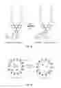Fig. 02 - Zinc sensors for cellular imaging