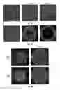 Fig. 10 - Zinc sensors for cellular imaging