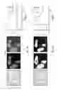 Fig. 13 - Zinc sensors for cellular imaging
