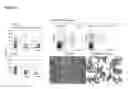 Fig. 19 - Endothelial cell production by programming