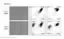 Fig. 20 - Endothelial cell production by programming
