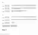 Fig. 07 - Alpha5-beta1 antibodies and their uses