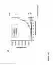 Fig. 16 - Alpha5-beta1 antibodies and their uses