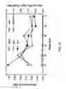 Fig. 07 - Process and materials for production of glucosamine and N-acetylglucosamine