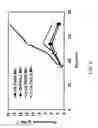 Fig. 09 - Process and materials for production of glucosamine and N-acetylglucosamine