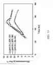 Fig. 12 - Process and materials for production of glucosamine and N-acetylglucosamine