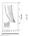 Fig. 19 - Process and materials for production of glucosamine and N-acetylglucosamine