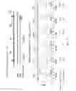Fig. 24 - Stabilized reverse transcriptase fusion proteins