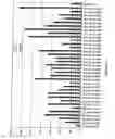 Fig. 15 - Aldolases, nucleic acids encoding them and methods for making and using them