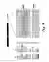 Fig. 07 - DNA polymerase lambda and uses thereof