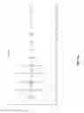 Fig. 24 - Methods and compositions for the recombinant biosynthesis of N-Alkanes