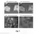Fig. 03 - METHOD AND APPARATUS FOR ANTIGEN RETRIEVAL PROCESS