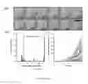 Fig. 13 - System and method for microfluidic cell culture