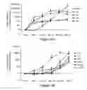 Fig. 03 - Methods for differentiating cells into hepatic stellate cells and hepatic sinusoidal endothelial cells, cells produced by the methods, and methods for using the cells