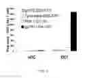Fig. 06 - PLATFORM OF DENDRITIC CELL (DC)-BASED VACCINATION