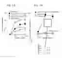 Fig. 14 - PLATFORM OF DENDRITIC CELL (DC)-BASED VACCINATION