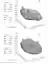 Fig. 01 - System and method for cleaning a charging wafer surface