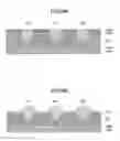 Fig. 37 - Method for manufacturing semiconductor device