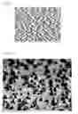 Fig. 03 - Method for forming sapphire substrate and semiconductor device