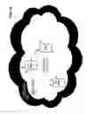Fig. 05 - Allowed spectrum information distribution system