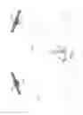 Fig. 02 - Systems and methods for inter-system sharing of satellite communications frequencies within a common footprint