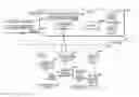 Fig. 01 - Interactive asynchronous game offline play architecture