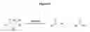 Fig. 10 - GROWTH SELECTION METHOD