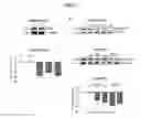 Fig. 02 - Methods for treating progressive cognitive disorders related to neurofibrillary tangles