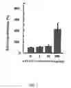 Fig. 08 - METHOD FOR STIMULATING WOUND HEALING