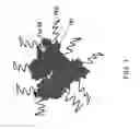 Fig. 02 - Peg-albumin composition having at least one protected thiol region as a platform for medications