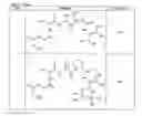 Fig. 22 - Methods and compositions for delivery of medicaments to the lungs
