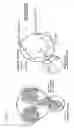 Fig. 02 - NOVEL TUMOR-TARGETING COMPOUNDS